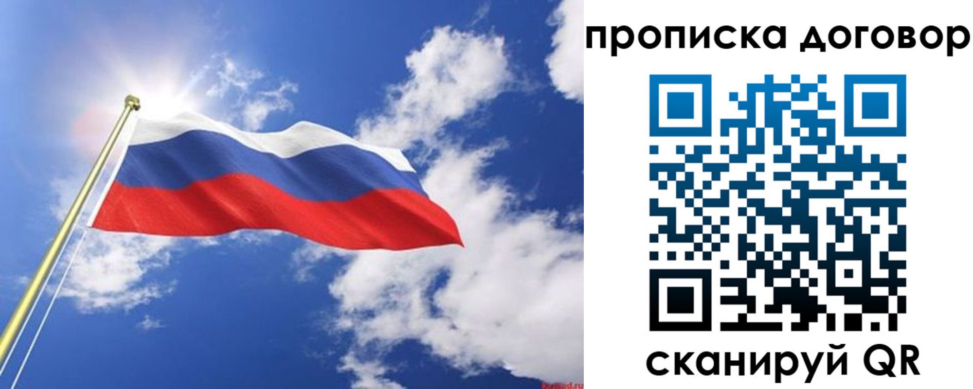 прописка гарантия в Бабаево